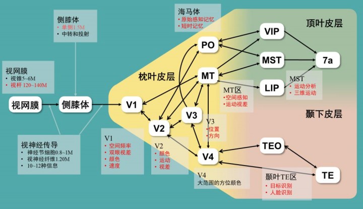 图像分会.jpg