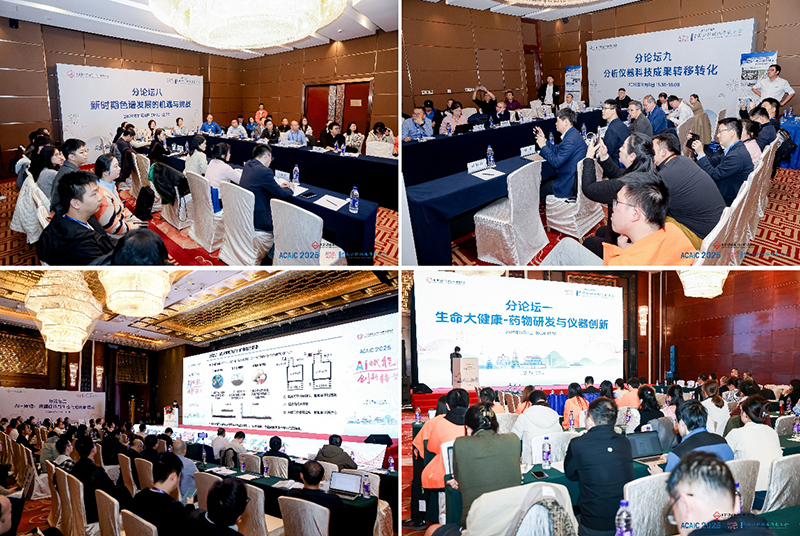 1762847787302904.jpg image007.jpg