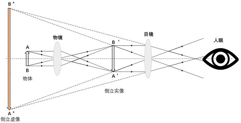 1785142358538623.png image001.png