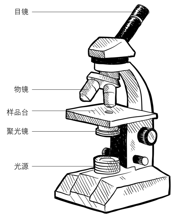 1785142370135624.png image003.png