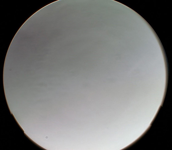 1785475117286505.jpg image008.jpg